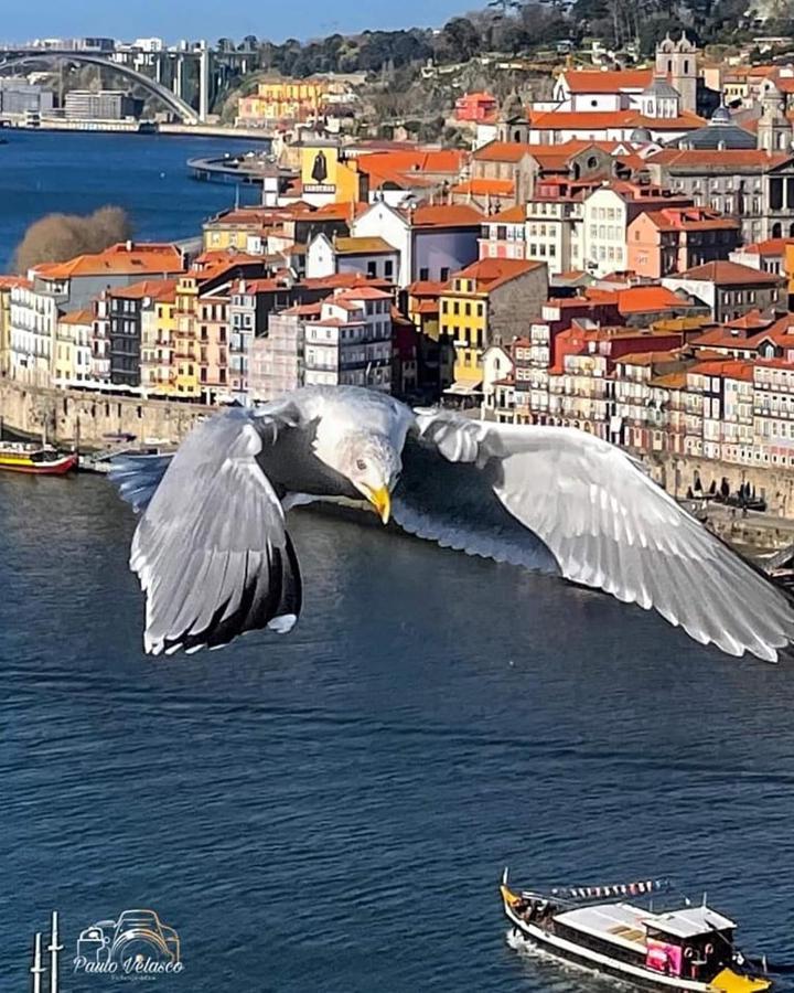 Casa Mira Douro Villa Vila Nova de Gaia Exterior foto